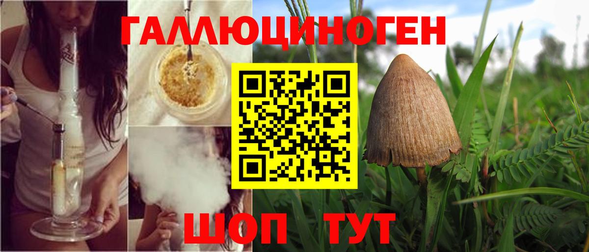 Псилоцибиновые грибы Psilocybine cubensis  Вход с VPN  Кирово-Чепецк 